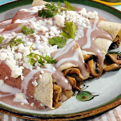 Mexican Enfrijoladas